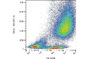 Flow cytometry analysis (surface staining) of IL-4 and GM-CSF stimulated human peripheral blood cells with anti-human CD1b (SN13) PE. (CD1b anticorps  (PE))