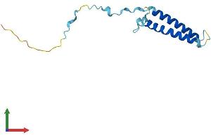 AlphaFold protein structure predicition of Mouse Recombinant Tmem230 Protein, UniprotID Q8CIB6