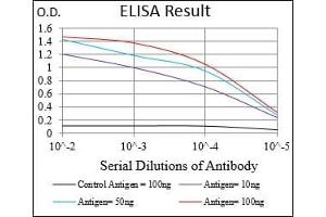 Black line: Control Antigen (100 ng), Purple line: Antigen(10 ng), Blue line: Antigen (50 ng), Red line: Antigen (100 ng),