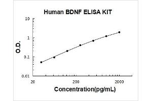 Human BDNF PicoKine ELISA Kit standard curve