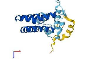 AlphaFold protein structure predicition of Human Recombinant PRAF2 Protein, UniprotID O60831