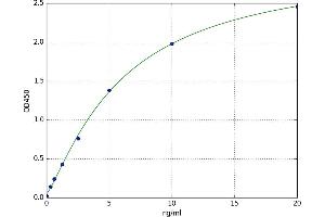 A typical standard curve (CCR8 Kit ELISA)