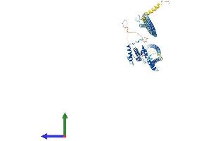 AlphaFold protein structure predicition of Human Recombinant NDC80 Protein, UniprotID O14777