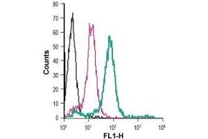 Cell surface detection of P2Y6 in live intact human THP-1 monocytic leukemia cells: (black line) Cells.