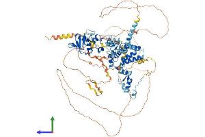 AlphaFold protein structure predicition of Human Recombinant ZNF598 Protein, UniprotID Q86UK7