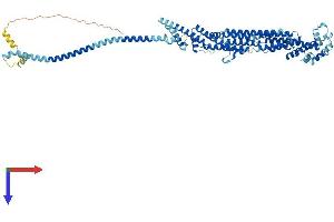 AlphaFold protein structure predicition of Human Recombinant COG6 Protein, UniprotID Q9Y2V7