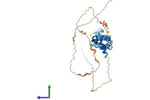 AlphaFold protein structure predicition of Human Recombinant POU5F2 Protein, UniprotID Q8N7G0