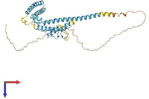 AlphaFold protein structure predicition of Mouse Recombinant Luc7l Protein, UniprotID Q9CYI4