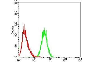 Flow cytometric analysis of Jurkat cells using CD3D mouse mAb (green) and negative control (red).