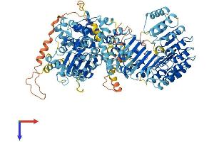 AlphaFold protein structure predicition of Human Recombinant NLRP2 Protein, UniprotID Q9NX02