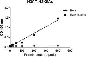 Sandwich ELISA against acetylated Histone H3 at Lys 9 using HeLa whole cell lysate, treated or untreated with sodium butyrate, using recombinant Histone H3 antibody (1ug/ml) as the capture and biotinylated anti-H3K9ac (RM161, 1ug/ml) as the detect. (Recombinant Histone 3 anticorps  (C-Term, pan))