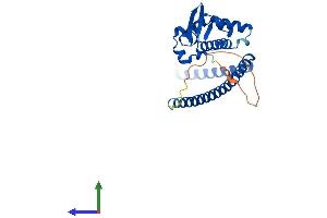 AlphaFold protein structure predicition of Mouse Recombinant Ska1 Protein, UniprotID Q9CPV1