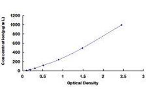 Left-Right Determination Factor 2 (LEFTY2) ELISA Kit