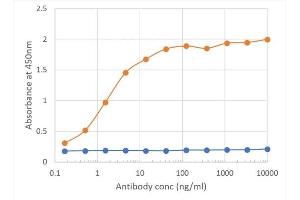 Binding curve of anti-CD27 antibody LG.