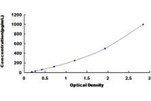 Typical standard curve (FGF3 Kit ELISA)