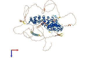 AlphaFold protein structure predicition of Mouse Recombinant Ctnnd1 Protein, UniprotID P30999