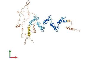 AlphaFold protein structure predicition of Human Recombinant ZNF677 Protein, UniprotID Q86XU0