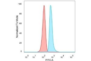 Flow Cytometric Analysis of PFA-fixed HeLa cells. (DMRT2 anticorps)