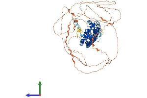 AlphaFold protein structure predicition of Human Recombinant ARHGAP17 Protein, UniprotID Q68EM7
