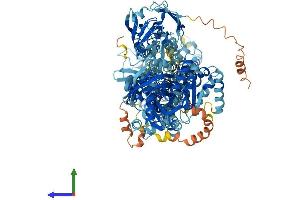 AlphaFold protein structure predicition of Mouse Recombinant Atp8a1 Protein, UniprotID P70704