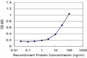 Detection limit for recombinant GST tagged STK24 is approximately 1ng/ml as a capture antibody. (STK24 anticorps  (AA 1-431))