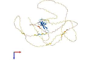 AlphaFold protein structure predicition of Human Recombinant MECP2 Protein, UniprotID P51608
