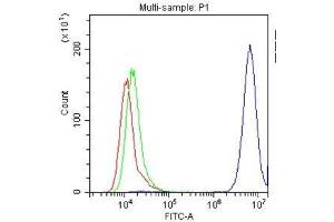 Flow Cytometry analysis of Hela cells using anti-CD147/Emmprin antibody .