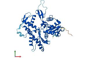 AlphaFold protein structure predicition of Mouse Recombinant Actr1a Protein, UniprotID P61164