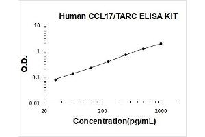 Chemokine (C-C Motif) Ligand 17 (CCL17) ELISA Kit