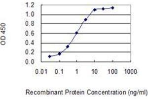 anti-Otoancorin (OTOA) (AA 27-124) antibody