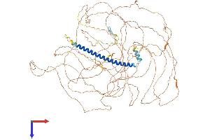 AlphaFold protein structure predicition of Human Recombinant TSC22D1 Protein, UniprotID Q15714