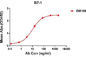ELISA plate pre-coated by 2 μg/mL (100 μL/well) Human B7-1 protein, hFc tagged protein ABIN6961158, ABIN7042345 and ABIN7042346 can bind Rabbit anti-B7-1 monoclonal antibody  (clone: DM109) in a linear range of 0.
