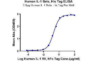 Immobilized Human IL-1 Beta, His Tag at 5 μg/mL (100 μL/Well) on the plate.