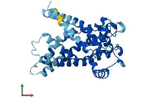 AlphaFold protein structure predicition of Human Recombinant SLC25A5 Protein, UniprotID P05141