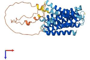 AlphaFold protein structure predicition of Mouse Recombinant Slc39a11 Protein, UniprotID Q8BWY7