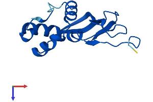 AlphaFold protein structure predicition of Mouse Recombinant Trmt112 Protein, UniprotID Q9DCG9