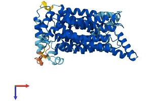 AlphaFold protein structure predicition of Mouse Recombinant Slc2a1 Protein, UniprotID P17809