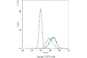 Flow cytometry testing of human THP1 cells with DC-SIGN antibody at 1ug/10^6 cells (blocked with goat sera) (DC-SIGN/CD209 anticorps)