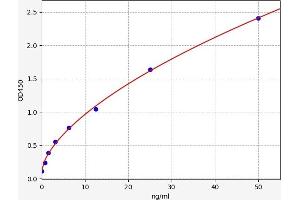 Typical standard curve (ALDH16A1 Kit ELISA)