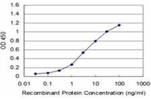 Detection limit for recombinant GST tagged PDK3 is approximately 0. (PDK3 anticorps  (AA 174-263))