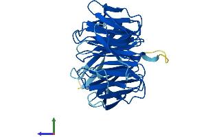 AlphaFold protein structure predicition of Mouse Recombinant Rack1 Protein, UniprotID P68040
