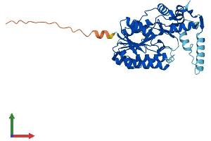 AlphaFold protein structure predicition of Mouse Recombinant Nsdhl Protein, UniprotID Q9R1J0