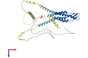 AlphaFold protein structure predicition of Mouse Recombinant Gjc2 Protein, UniprotID Q8BQU6