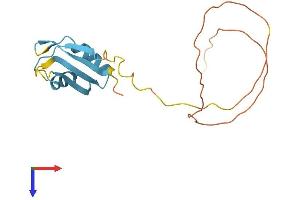 AlphaFold protein structure predicition of Human Recombinant CIRBP Protein, UniprotID Q14011