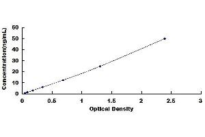 Typical standard curve (MMP11 Kit ELISA)