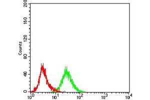 Flow cytometric analysis of HepG2 cells using IRAK3 mouse mAb (green) and negative control (red). (IRAK3 anticorps  (AA 454-596))