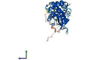 AlphaFold protein structure predicition of Mouse Recombinant Harbi1 Protein, UniprotID Q8BR93