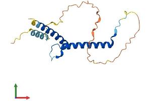AlphaFold protein structure predicition of Human Recombinant FERD3L Protein, UniprotID Q96RJ6