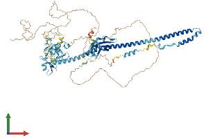 AlphaFold protein structure predicition of Human Recombinant TRIM42 Protein, UniprotID Q8IWZ5