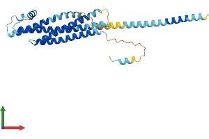 AlphaFold protein structure predicition of Mouse Recombinant Stx3 Protein, UniprotID Q64704